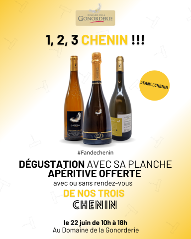 Flyers Fan de Chenin